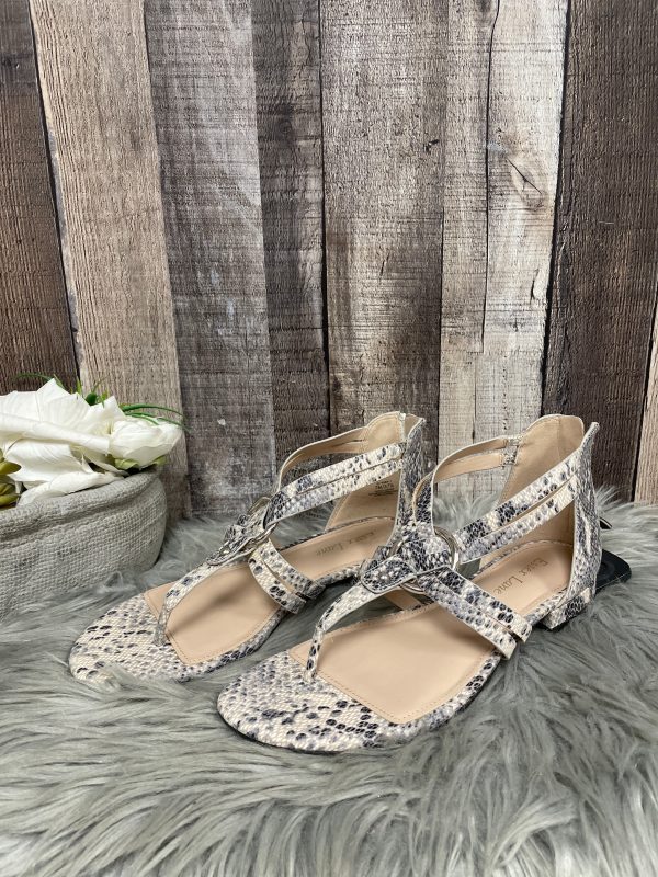 Snakeskin Print Sandals Flats Cme, Size 7 Cheap