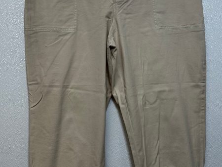 Beige Pants Joggers Loft O, Size Petite Large on Sale