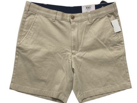 Beige Shorts Club Room, Size 16 Online