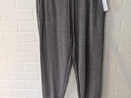 Grey Pants Lounge Theory, Size 4 Cheap