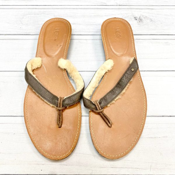 Sandals Designer By Ugg  Size: 12 Discount