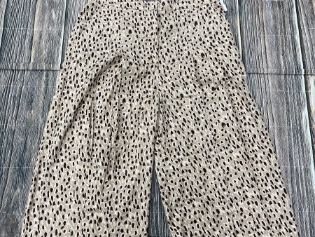 Pink Pants Cropped Anthropologie, Size Petite   Xl Online