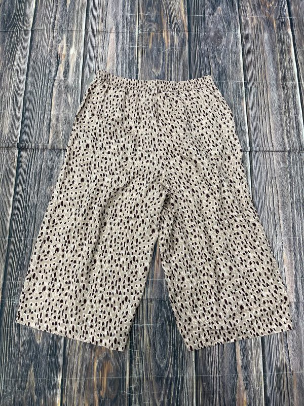 Pink Pants Cropped Anthropologie, Size Petite   Xl Online